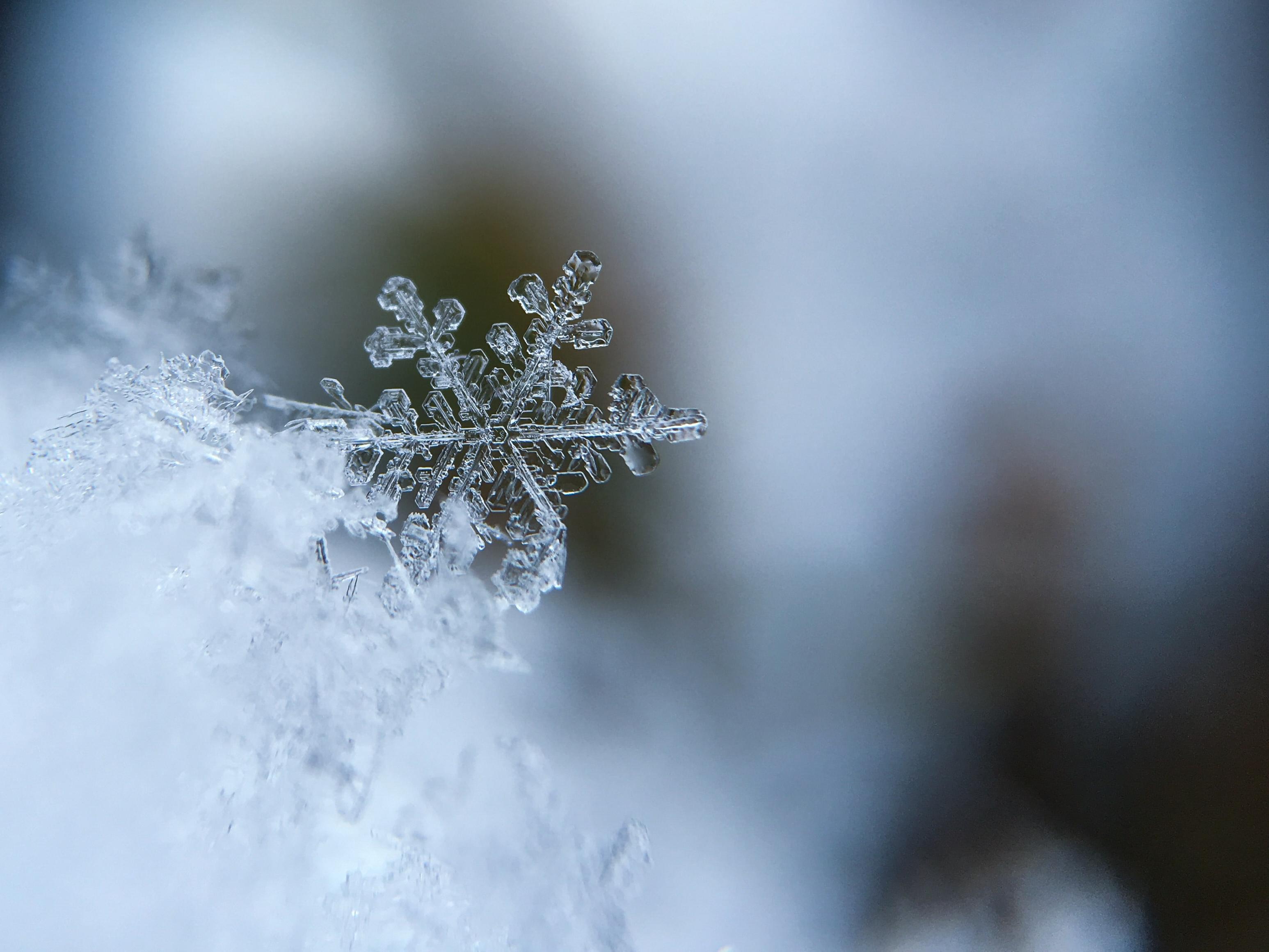 Winter snowflake