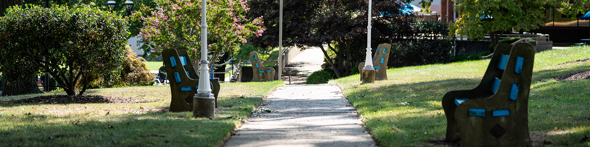 Campus walkway and benches